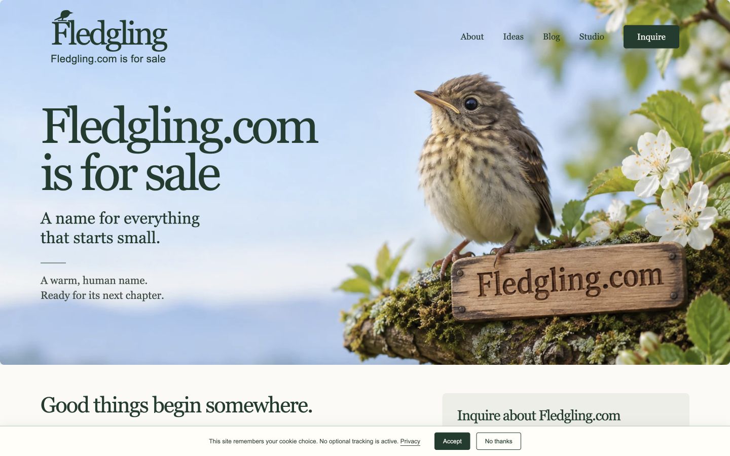 Screenshot of the actual Fledgling.com homepage